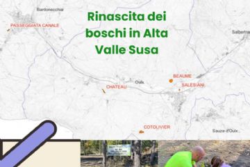 ALTEA GREEN POWER e il  CONSORZIO FORESTALE ALTA VALLE SUSA insieme per il rimboschimento del territorio valsusino