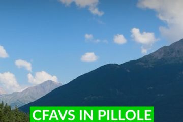Arrivano le Video Pillole CFAVS su Instagram!